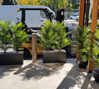 Hotel refurb with artificial plants inside & out...
