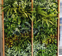 Hotel refurb with artificial plants inside & out...