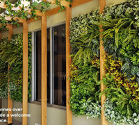 Hotel refurb with artificial plants inside & out...