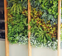 Hotel refurb with artificial plants inside & out...
