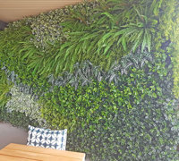 Before & After Shots..... Green-Walls 6
