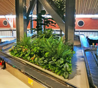 Before & After Shots...... low Planters