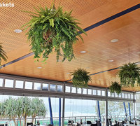 Before n After Shots..... Hanging-Baskets