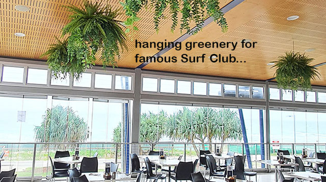 Surf Club's new green-room!