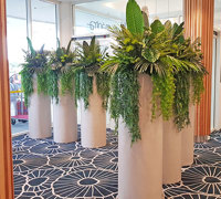 Before & After Shots...... low Planters 3