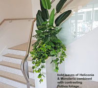 Before & After Shots...... low Planters 2
