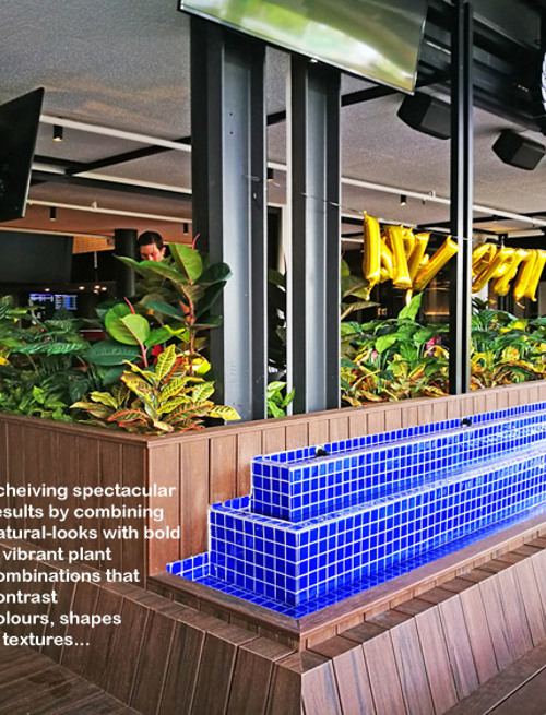 Plant Fit-Out for Sports Bar