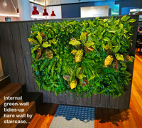 Plant Fit-Out for Sports Bar