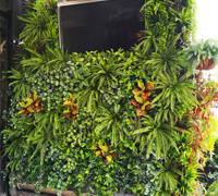 Plant Fit-Out for Sports Bar