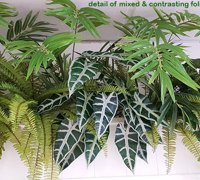 Greenery lifts Club restaurant...