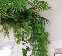 Greenery lifts Club restaurant...