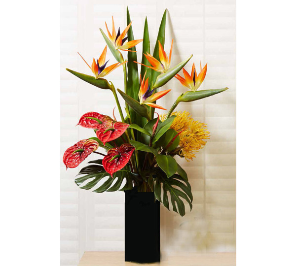 Floral- Birds with Anthuriums