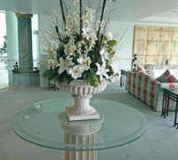 Large Apartment Foyer with large spectacular plants to match...