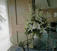 Large Apartment Foyer with large spectacular plants to match...