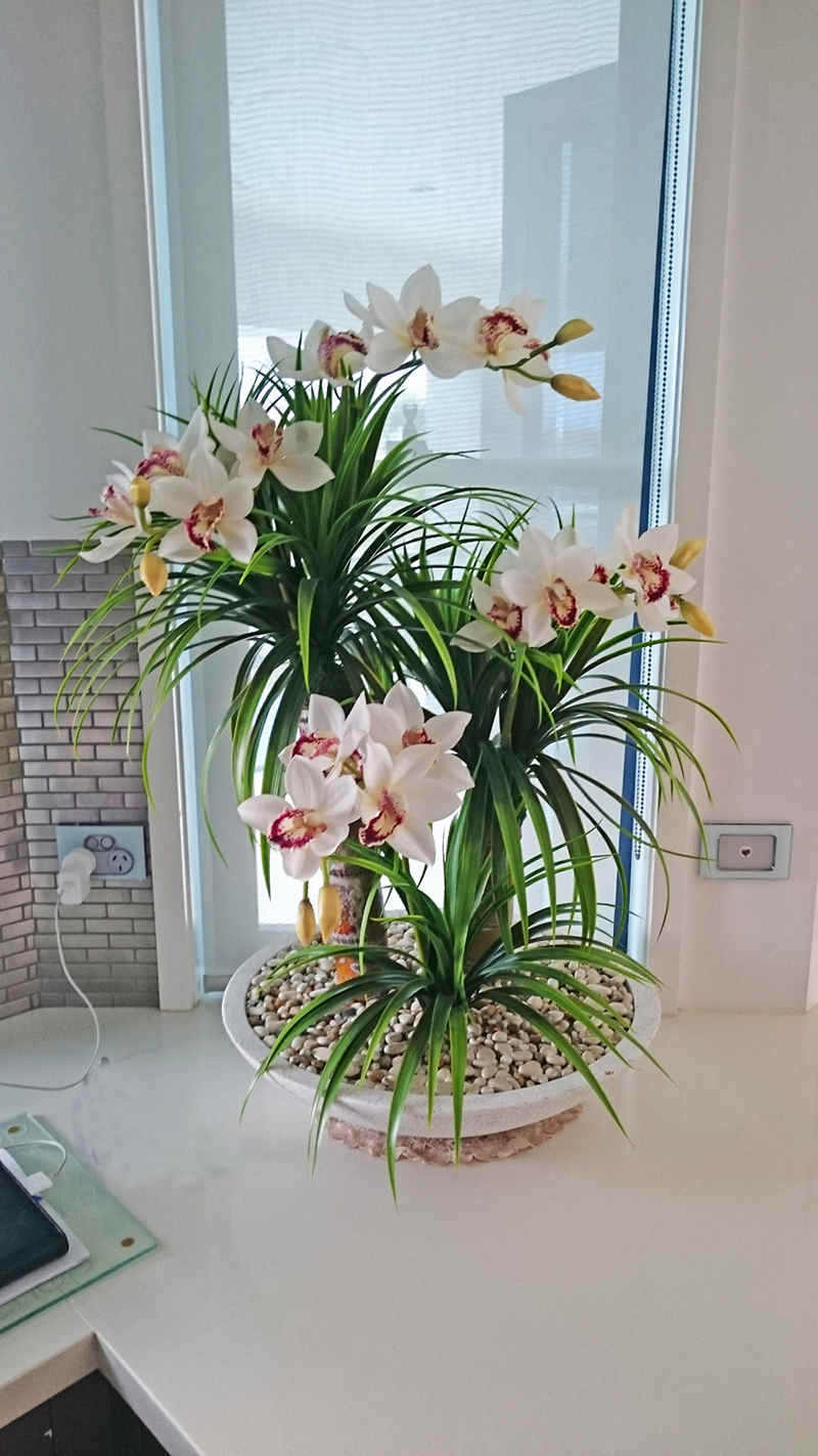 orchid-dish-kitchen.jpg