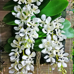Greenery Plaque- Vanda Orchids - artificial plants, flowers & trees - image 1