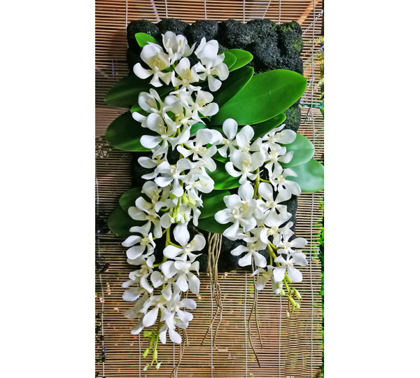 Greenery Plaque- Vanda Orchids