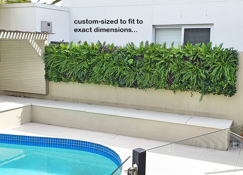 bare pool wall transformed by greenery strip