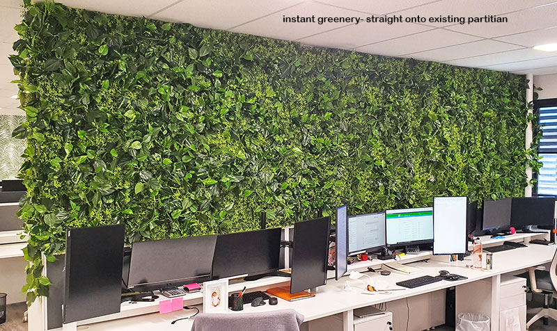 green-panels on room divider in office