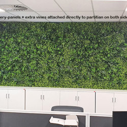 Wall-Panels Boxwood UV panel x4 [approx 1m2]  - artificial plants, flowers & trees - image 3