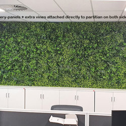 Wall-Panels Boxwood UV panel x4 [approx 1m2]  - artificial plants, flowers & trees - image 2