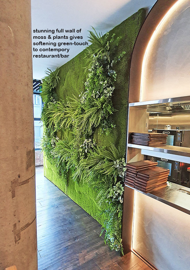 combining moss panels with greenery on feature wall