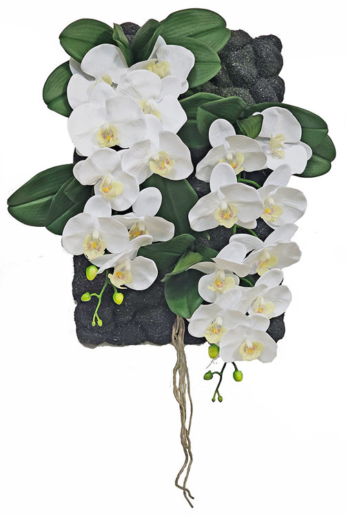 Articial Plants - Orchid Plaque