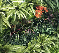 Artificial Green Wall as 'finishing touch' for Spa area