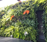 Artificial Green Wall as 'finishing touch' for Spa area