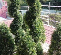 Deck Planters in Office Tower
