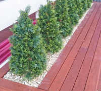 Deck Planters in Office Tower