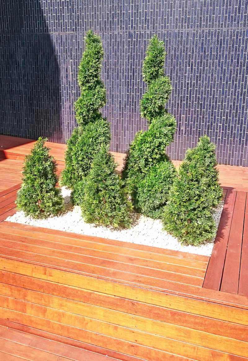 Deck Planters in Office Tower image 7