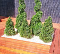 Deck Planters in Office Tower
