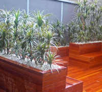 Deck Planters in Office Tower