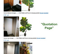 Plants for apartment foyers