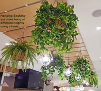 'Greening-up' a Food Court in shopping centre...
