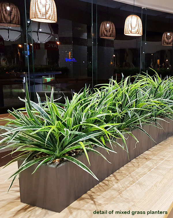 'Greening-up' a Food Court in shopping centre... image 3