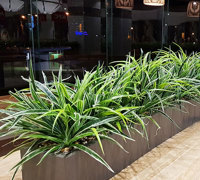 'Greening-up' a Food Court in shopping centre...