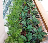 'Greening-up' a Food Court in shopping centre...