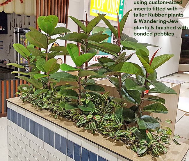 'Greening-up' a Food Court in shopping centre... image 10