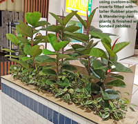 'Greening-up' a Food Court in shopping centre...