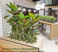 'Greening-up' a Food Court in shopping centre...
