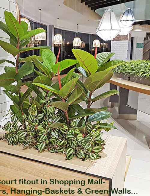 'Greening-up' a Food Court in shopping centre...
