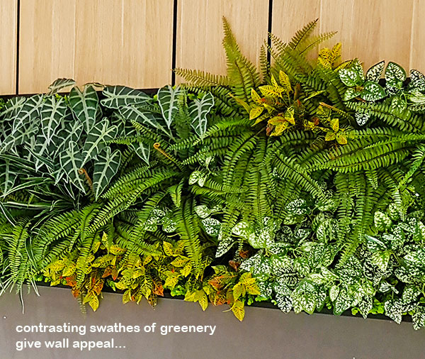 'Greening-up' a Food Court in shopping centre... image 9