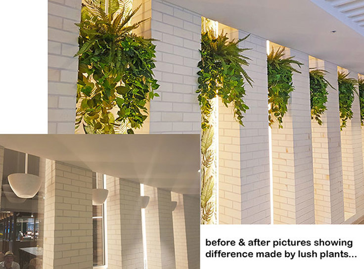 Before n After Shots..... Wall-Baskets & Planters