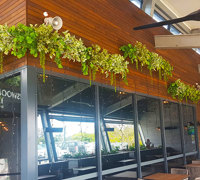 Before n After Shots..... Wall-Baskets & Planters