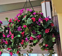 Eye-catching Colour for eatery in busy Tourist Strip...