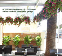Eye-catching Colour for eatery in busy Tourist Strip...