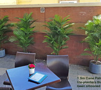 Eye-catching Colour for eatery in busy Tourist Strip...