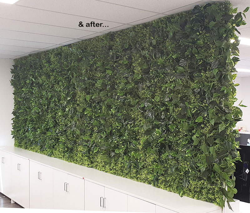 Office Greenery Solutions...fast! image 7